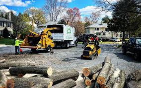Best Artificial Turf Installation  in Beltsville, MD