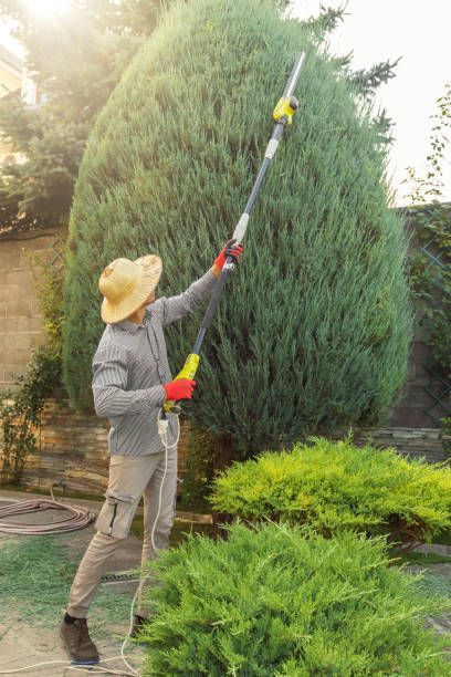 Best Soil Testing and Treatment  in Beltsville, MD